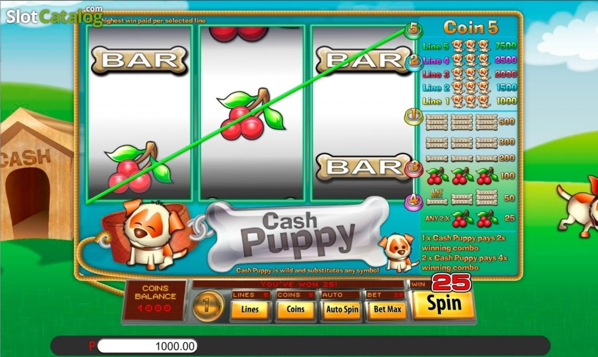 290 free spins no deposit at Super Lines Casino