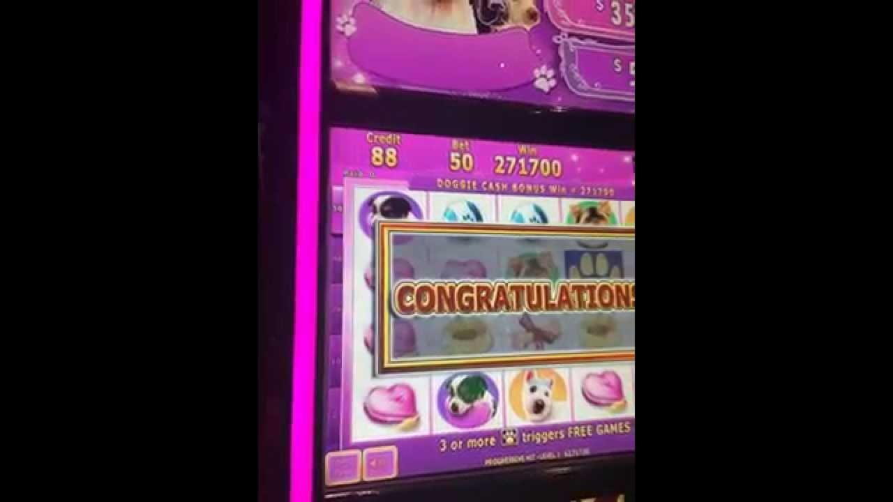 £720 Daily freeroll slot tournament at Come On Casino