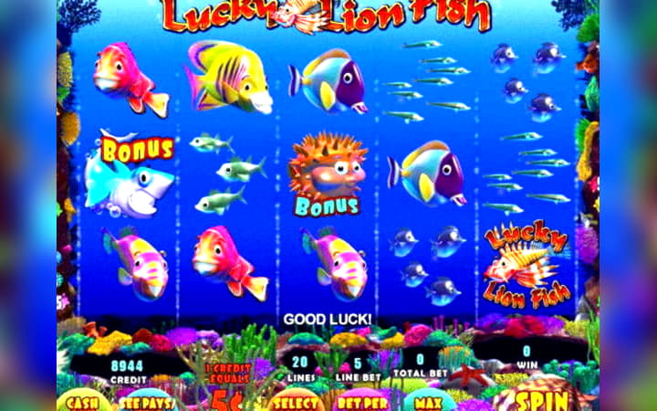 $2085 no deposit at Fruity Casa Casino