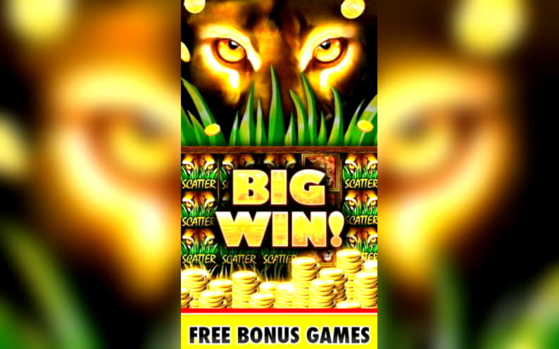 EUR 660 Free Chip Casino at Rizk Casino
