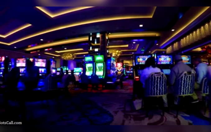 295 Free spins casino at Rizk Casino