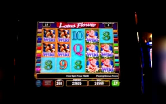 325% No Rules Bonus! at Leo Dubai Casino