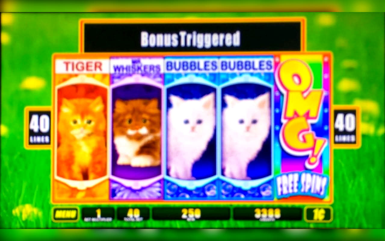 165 Trial Spins at bWin Casino