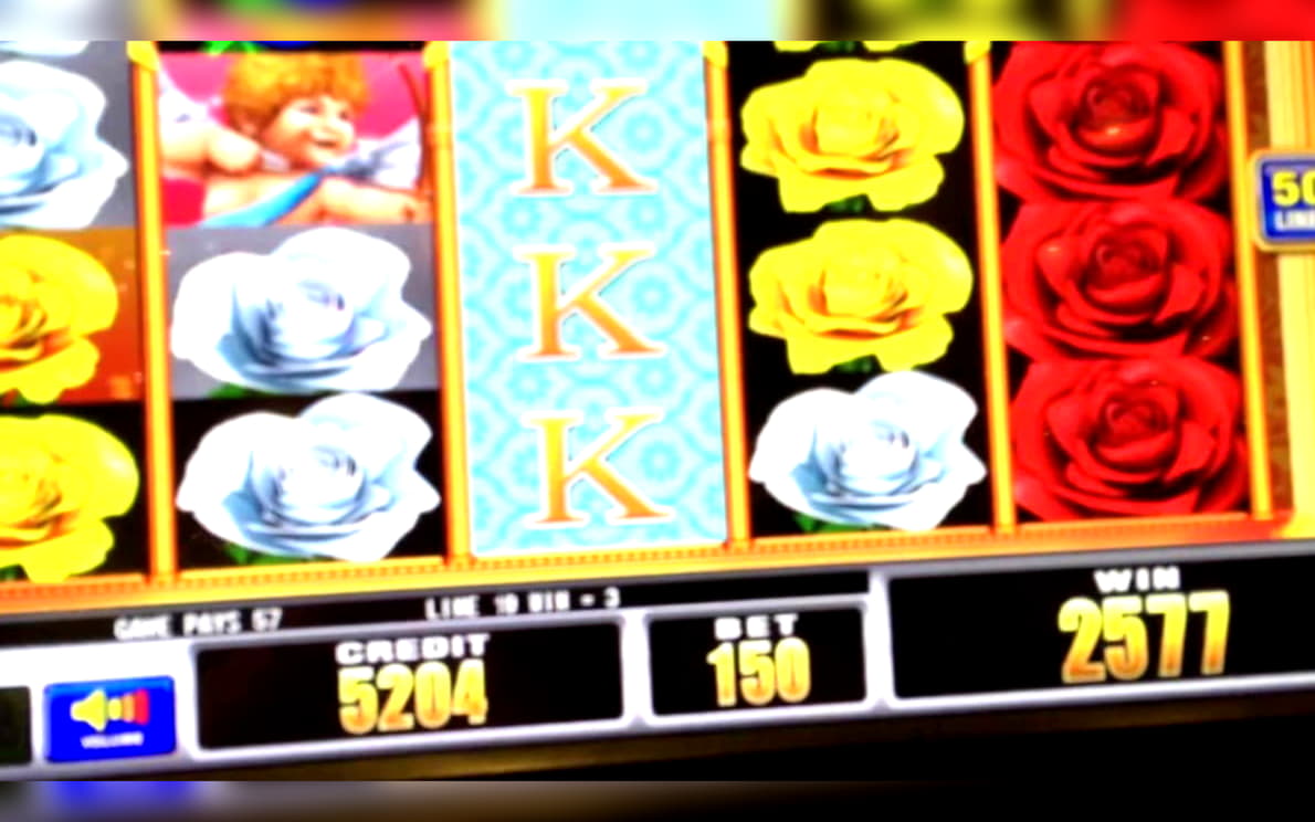 $905 NO DEPOSIT BONUS at Rizk Casino