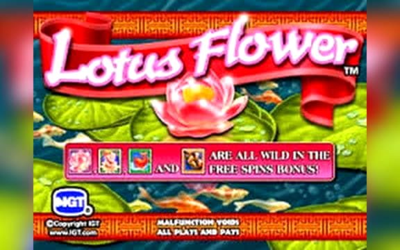 220 free spins at Net Bet Casino