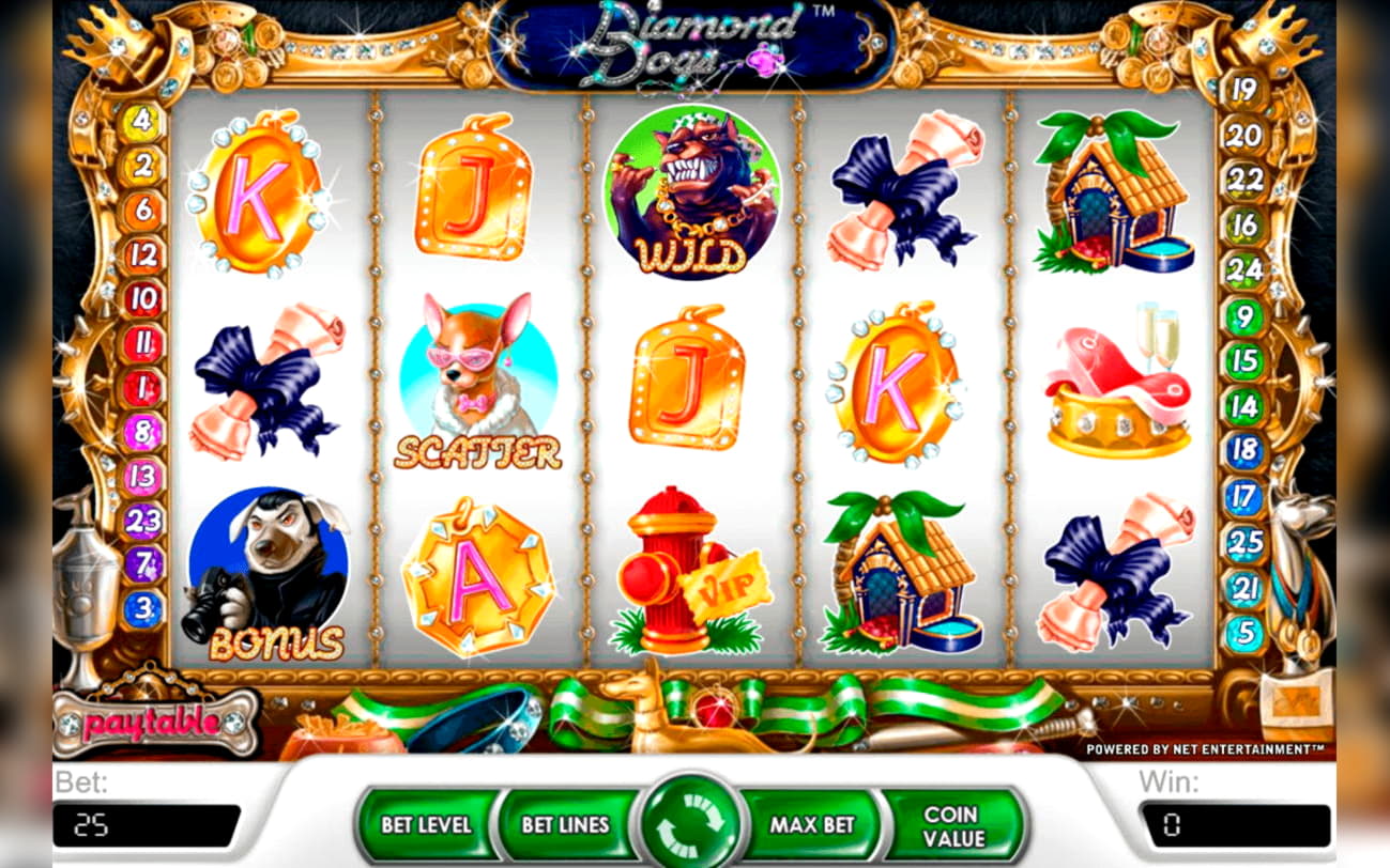 325% Welcome Bonus at Rizk Casino