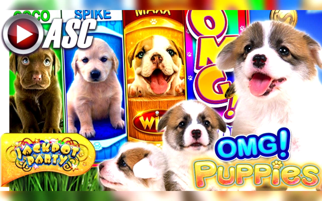 €465 Daily freeroll slot tournament at Spin Palace Casino