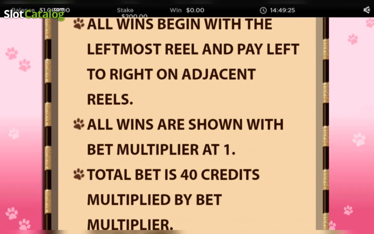 165 free spins no deposit casino at Spin Palace Casino