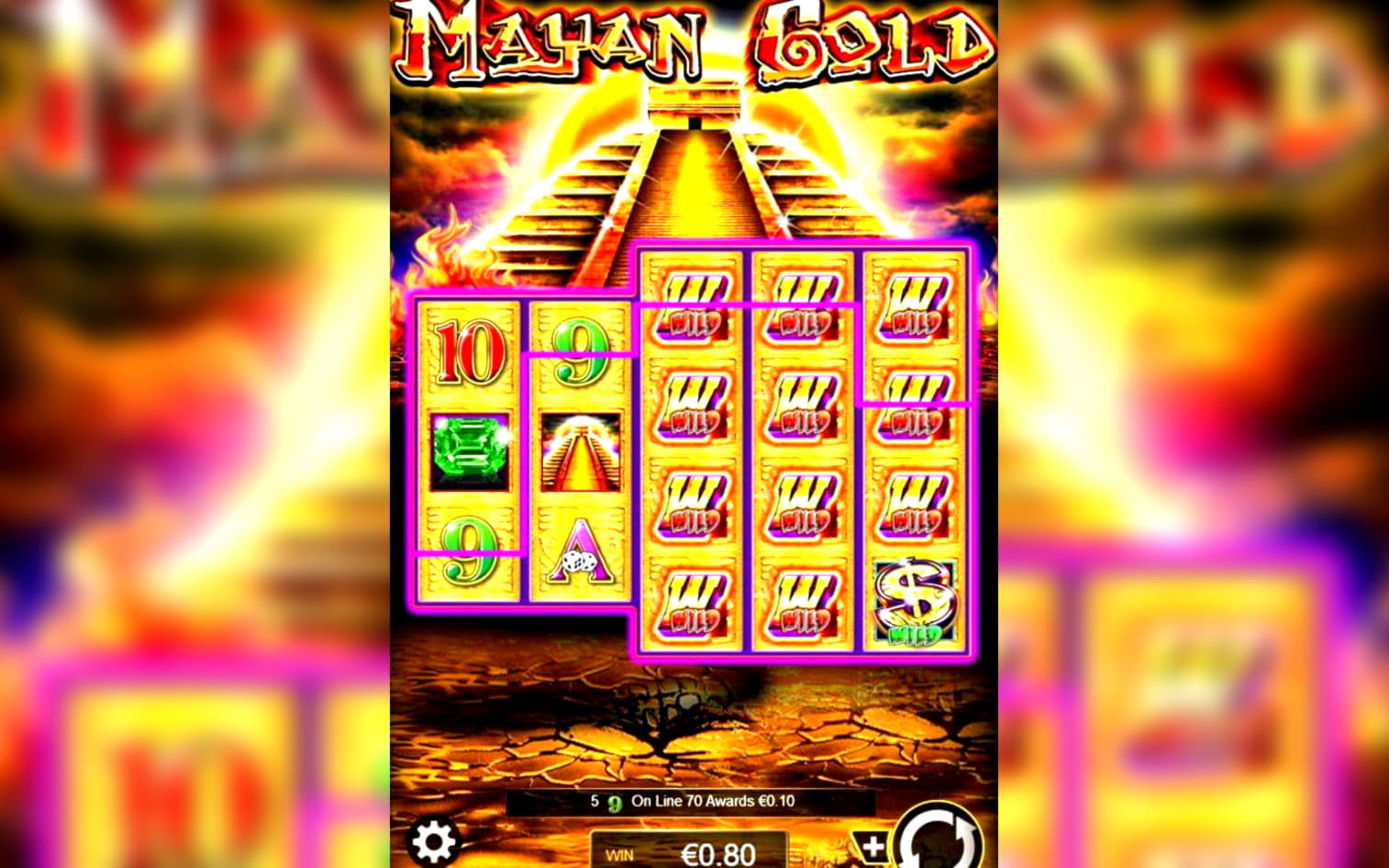 355% No Rules Bonus! at Rizk Casino