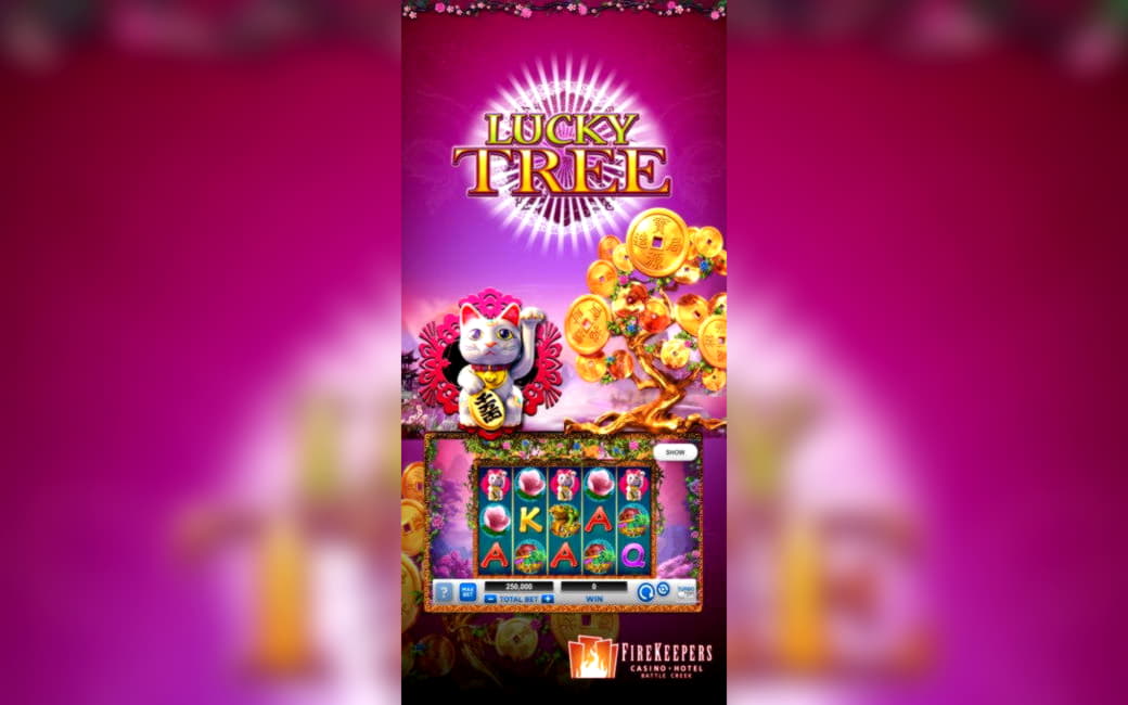 205 Free casino spins at bWin Casino