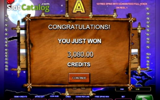 $175 Casino tournaments freeroll at Spin Palace Casino