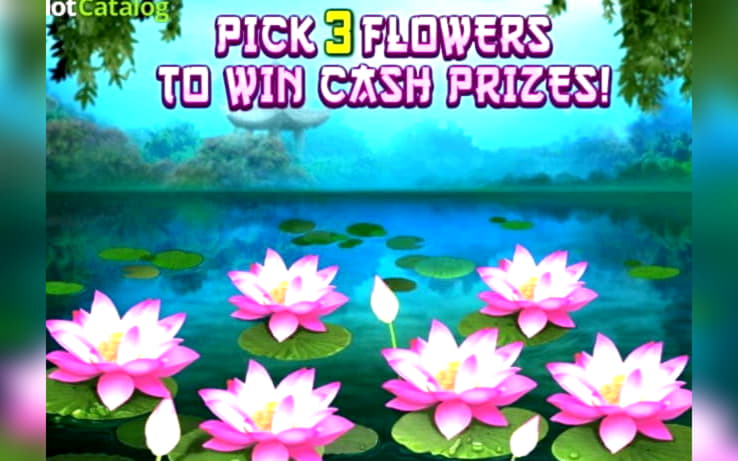 750% Match Bonus Casino at BGO Casino