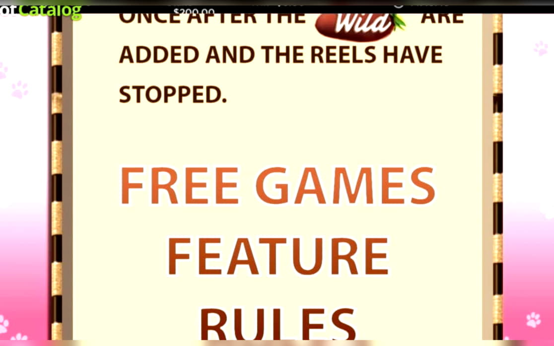 30 Loyalty Free Spins! at bWin Casino
