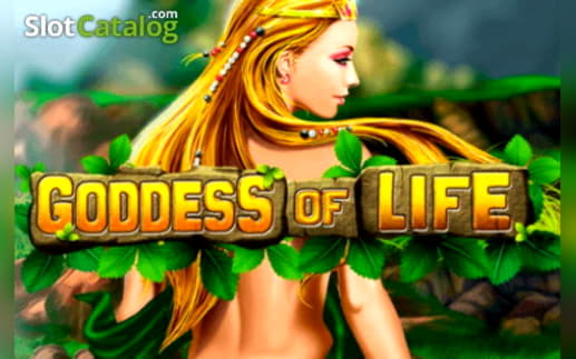 345% casino match bonus at Betway Casino