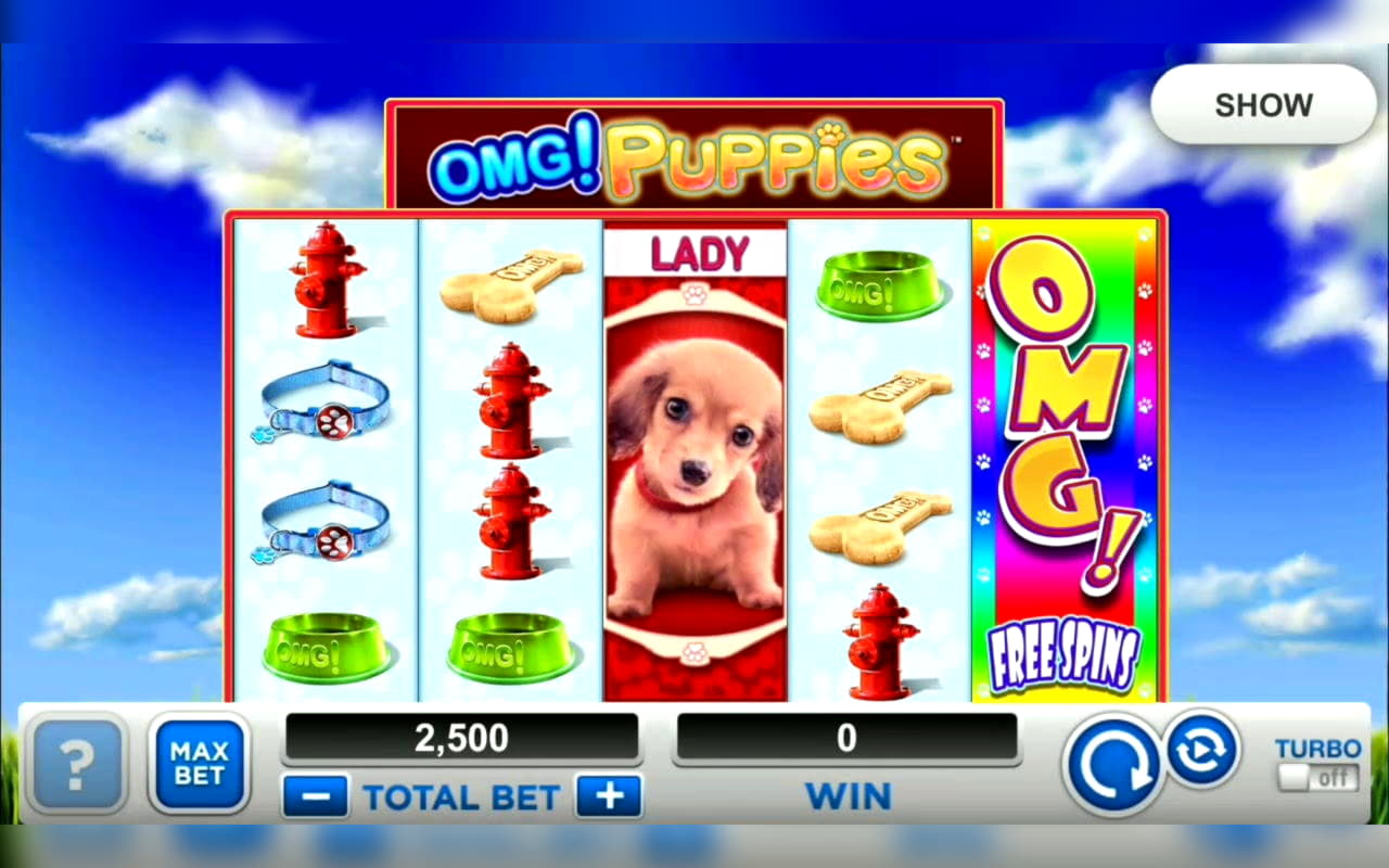 €710 Casino Tournament at Mr. Win Casino