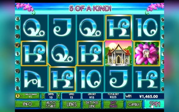 EURO 2630 No deposit bonus at Joy Casino