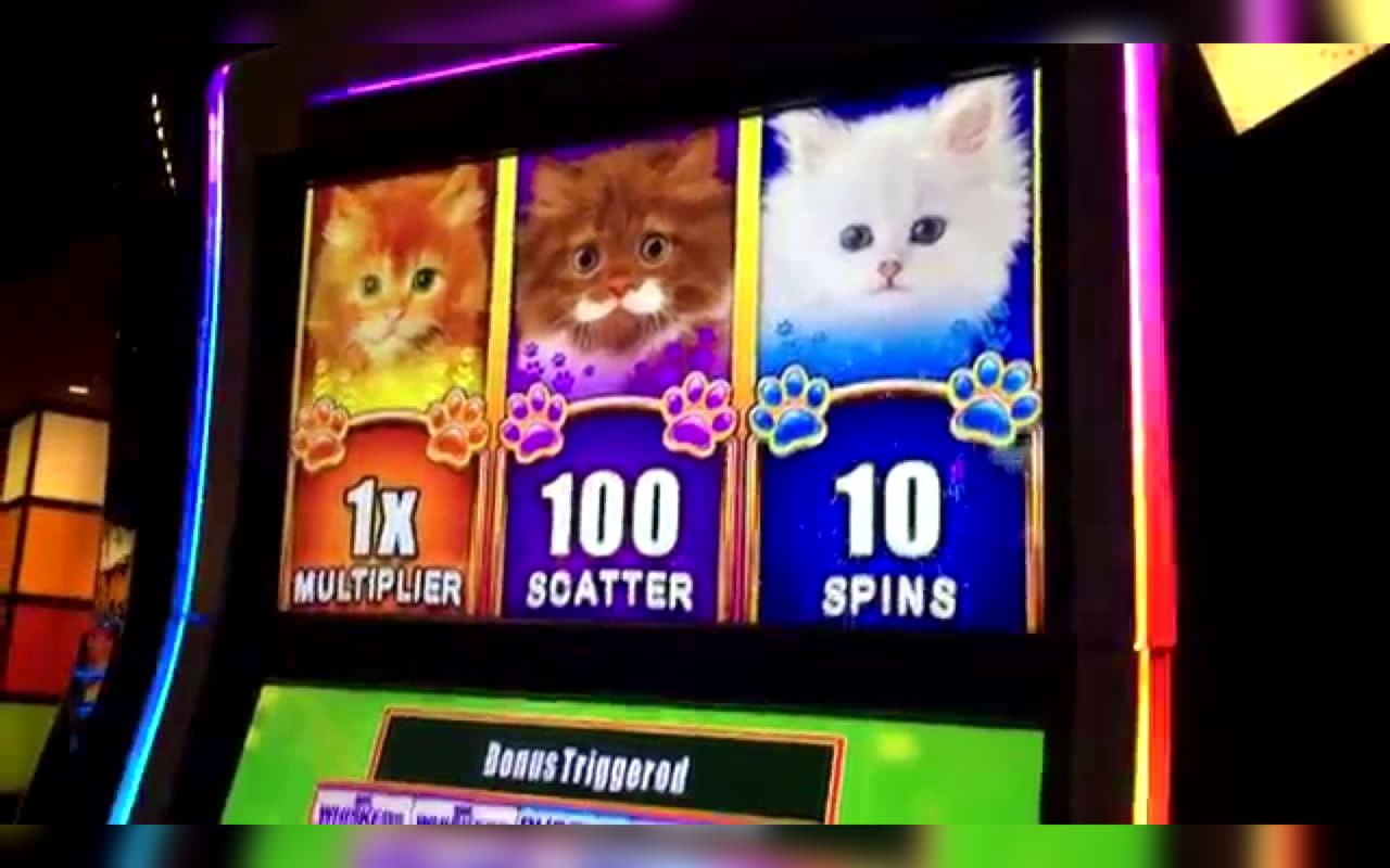 ﻿$1750 No Deposit Bonus at Spinland Casino