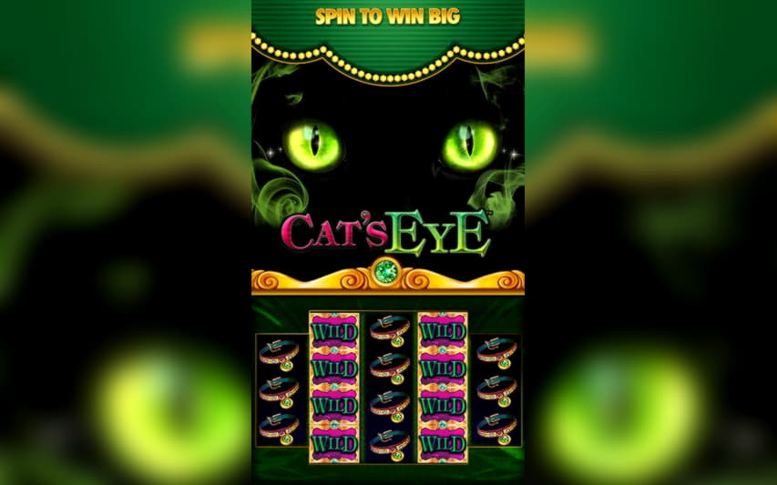 830% Casino match bonus at Party Casino