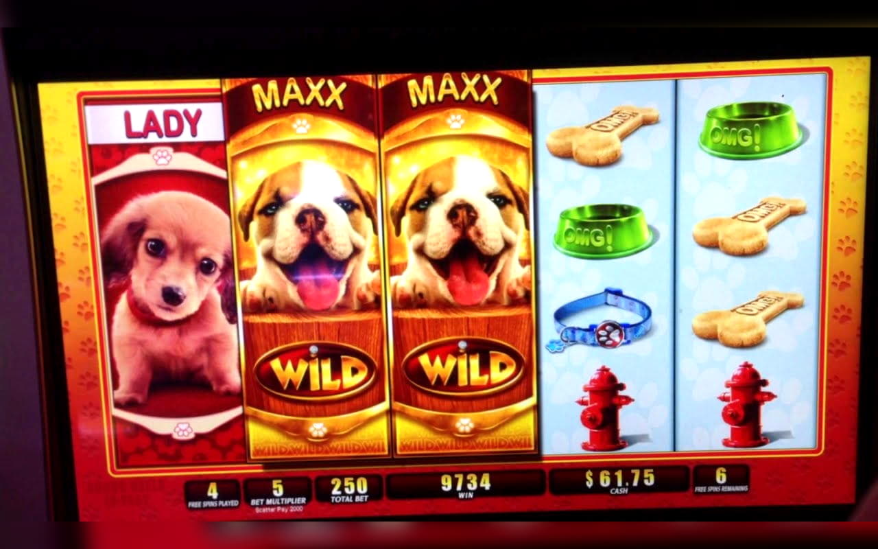 Eur 305 Free Money at BGO Casino
