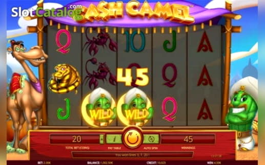 $200 Casino Tournament at Spinland Casino