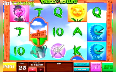 325% Match bonus at Casino-X
