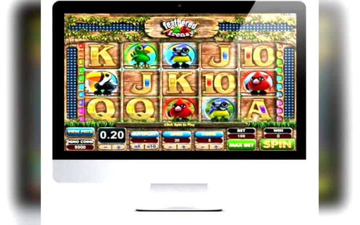 780% Welcome Bonus at Rizk Casino