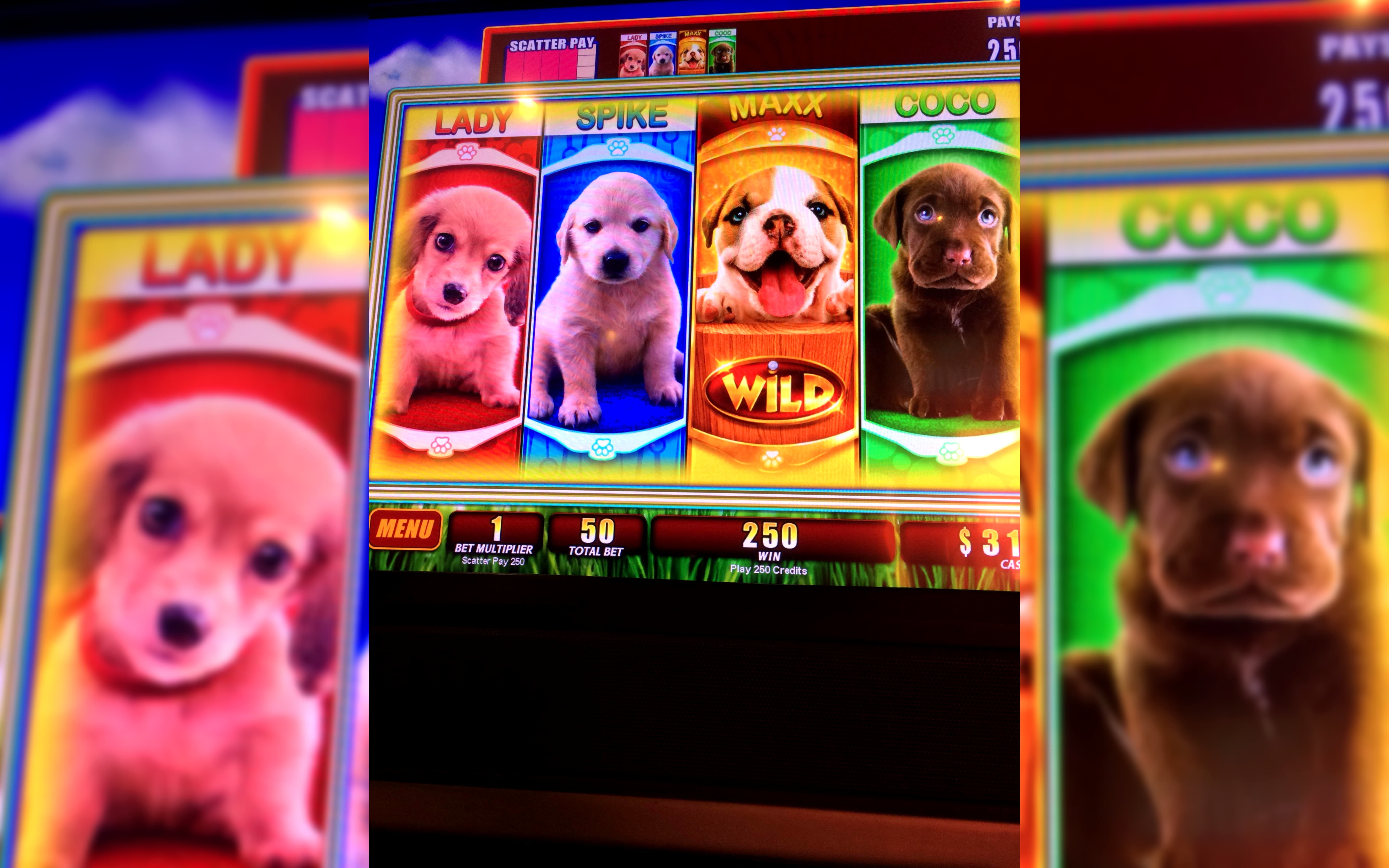 645% Match at a Casino at Party Casino