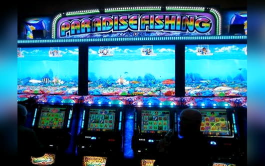 55 Trial Spins at Mansion Casino