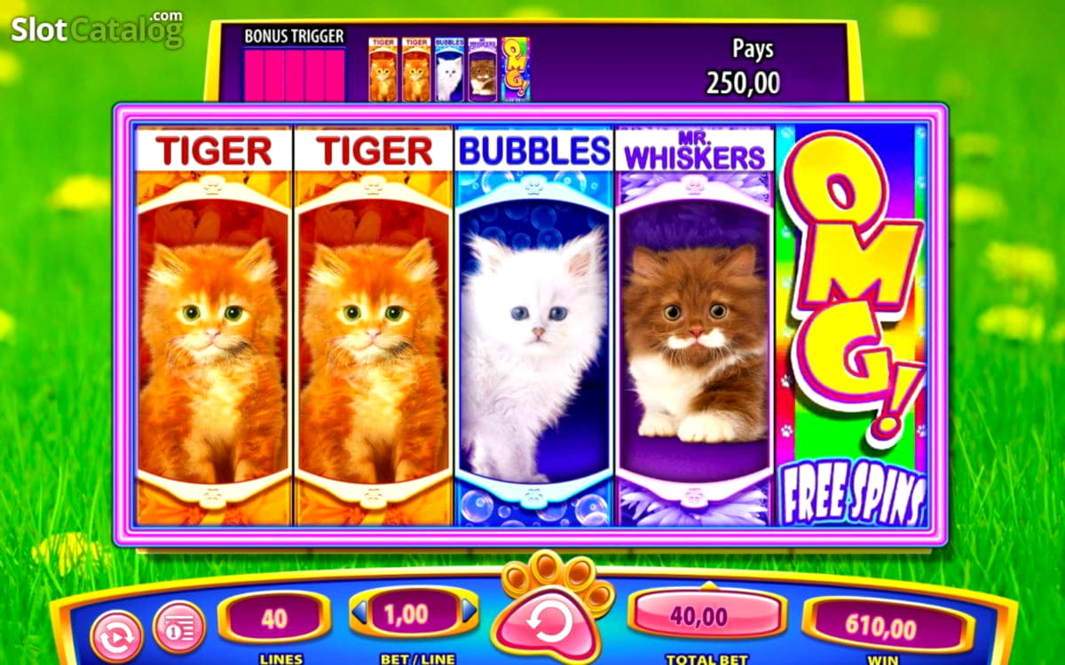 245 Free Spins no deposit casino at Vegas Hero Casino