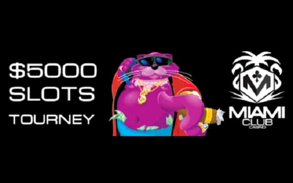 245 Loyalty Free Spins! at Net Bet Casino