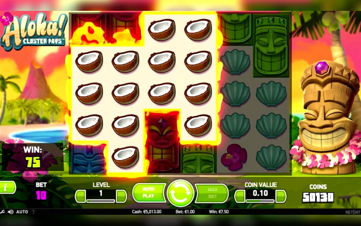 165% Match bonus casino at Net Bet Casino