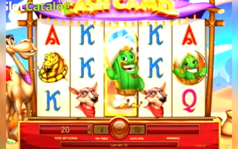 £2215 no deposit at Bet At Home Casino