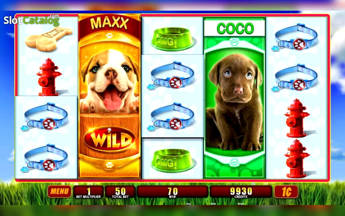 $444 FREE Chip Casino at Super Lines Casino