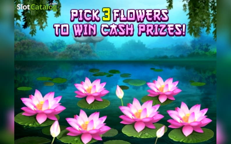 Eur 105 Casino Tournament at Net Bet Casino