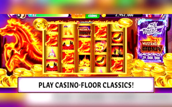 215 free spins no deposit at Mr. Win Casino