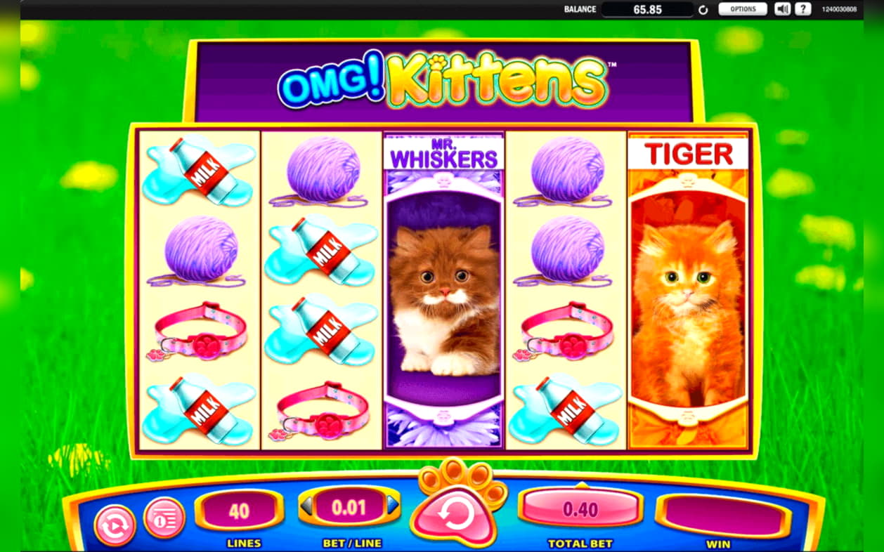 ﻿$440 Casino Tournament at Mansion Casino