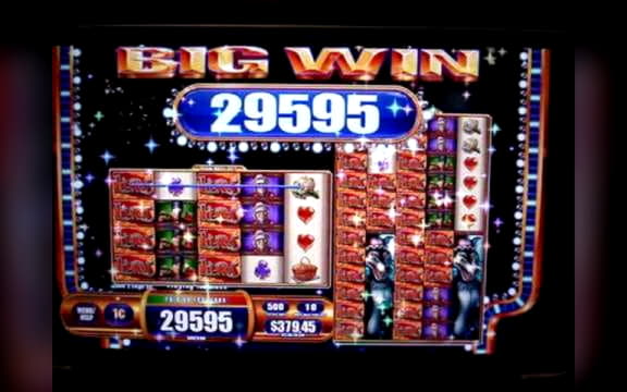 ﻿$4555 no deposit bonus casino at Jackpot City Casino