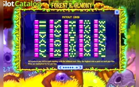 725% First Deposit Bonus at Spinland Casino