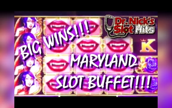 €710 Daily freeroll slot tournament at Mega Casino