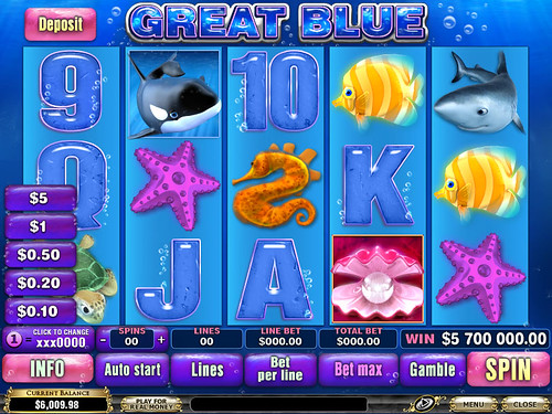 Great Blue Reels screen