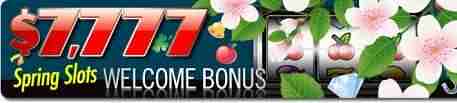 7777spring