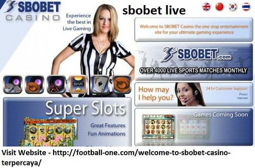 All about sbobet on line casino