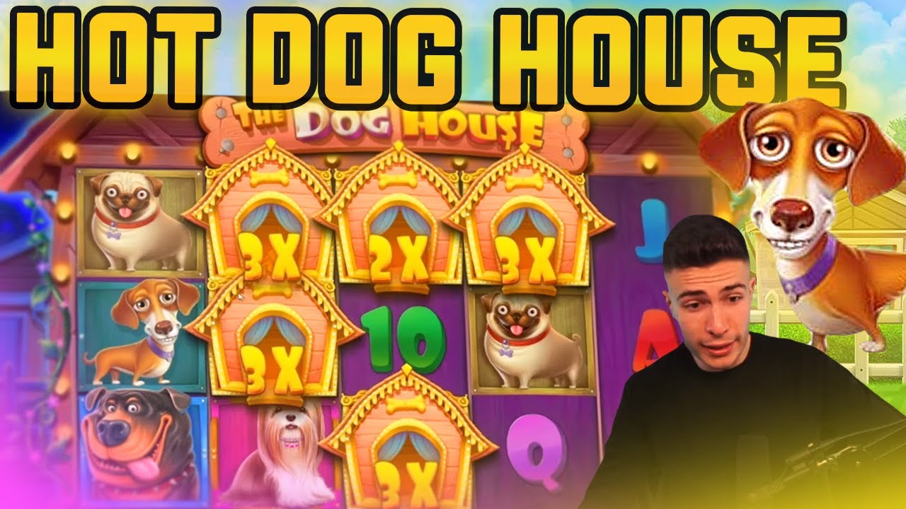 BIG WIN ON THE DOG HOUSE | BONUS FEATURE ON PRAGMATIC PLAY ONLINE SLOT MACHINE