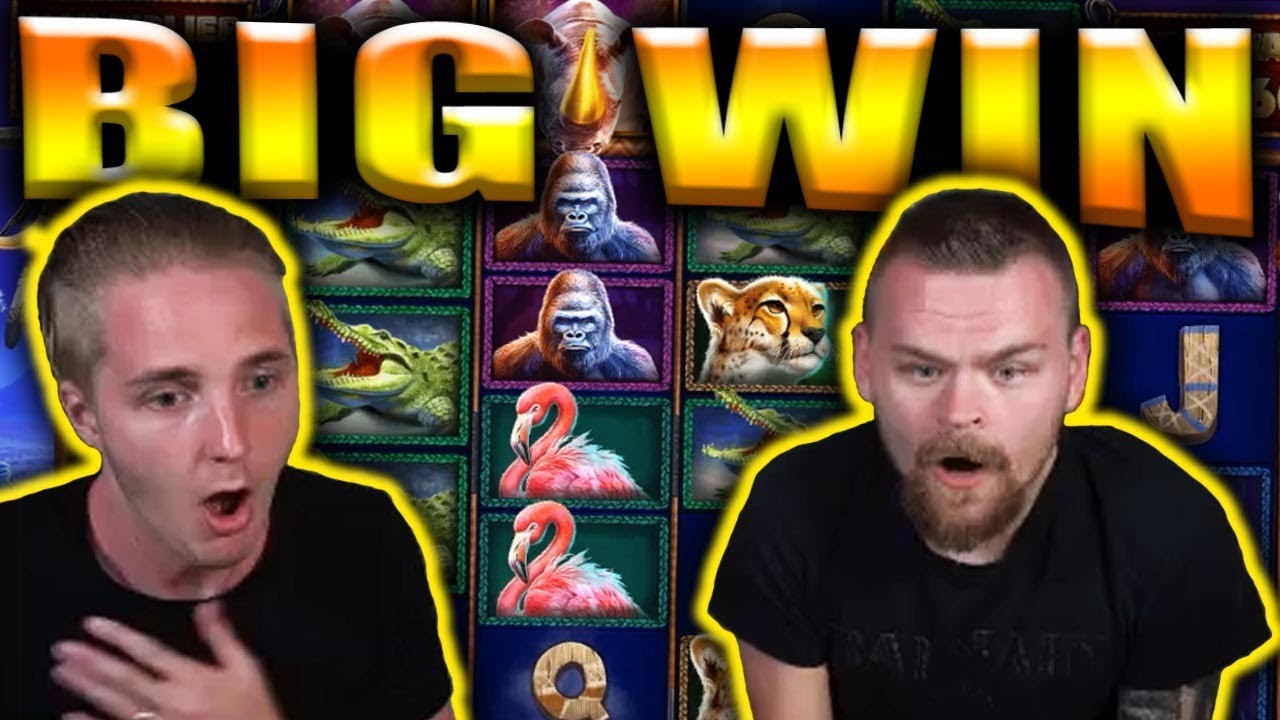 BIG WIN on GREAT RHINO MEGAWAYS – Indian Casino Big Wins