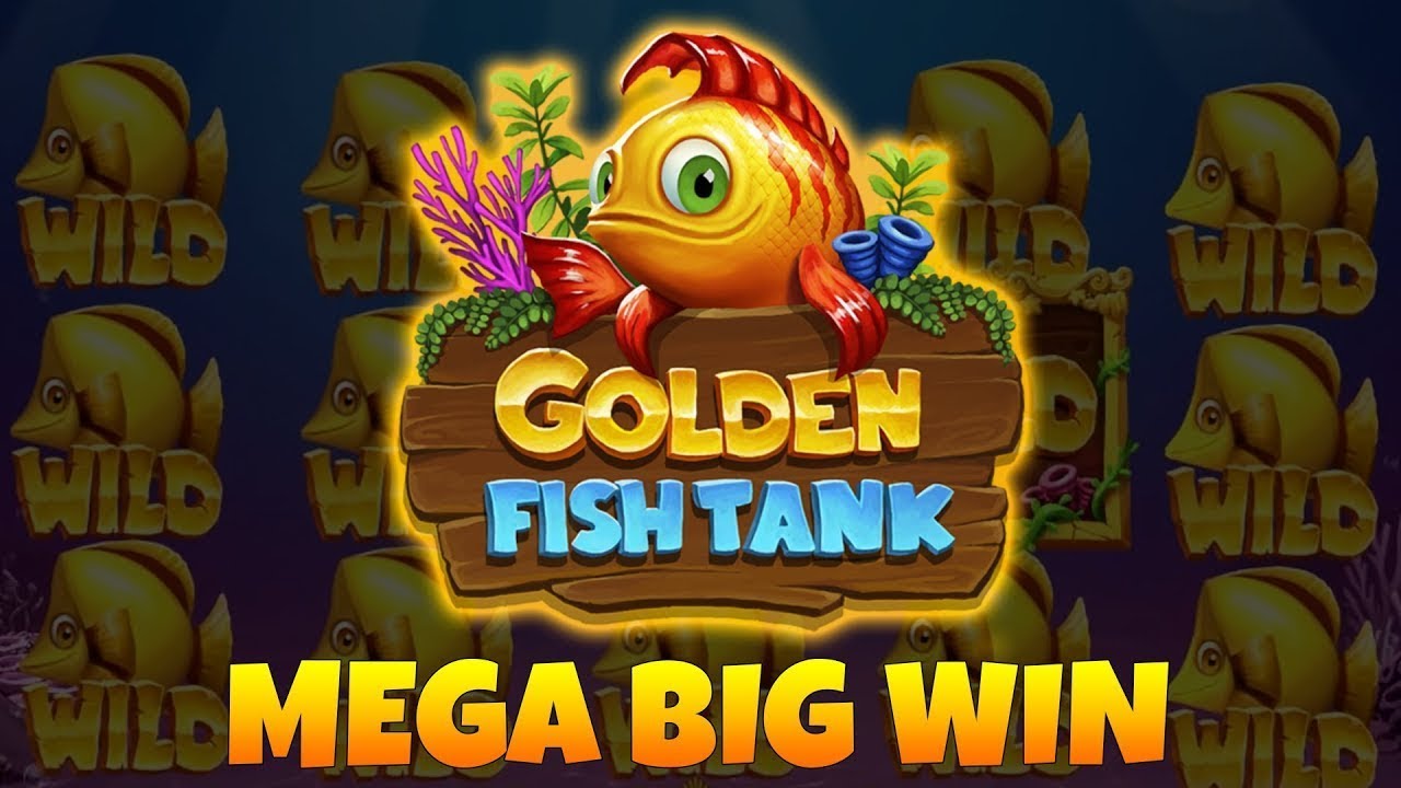 ?Classy Beef Fish Tank slot – Online Indian Casino flow Highlights