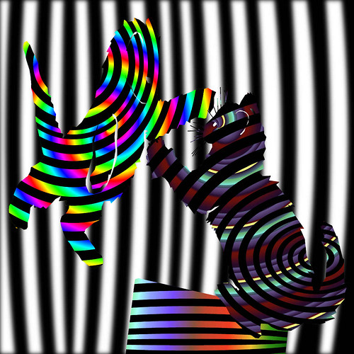Indian Casino-true cat-catsino-kitten-fight-op-art-illusion