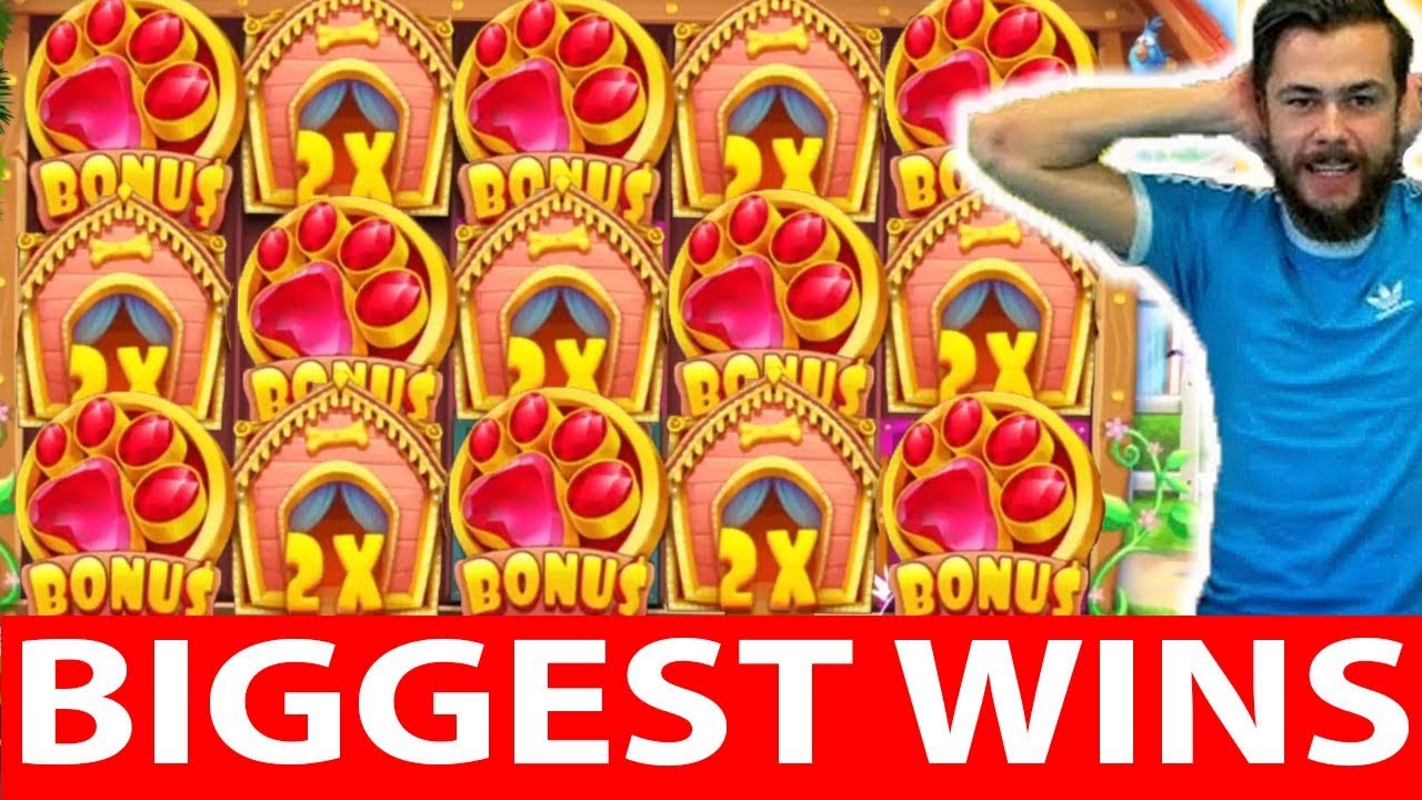 ONLINE Indian Casino WINS #10 reactoonz & the dog house AMAZING MEGA WIN