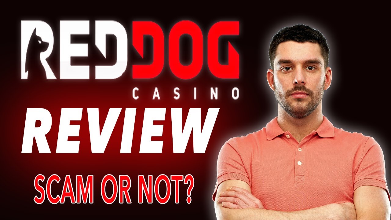 Red Dog Indian Casino Review ? Is Red Dog Indian Casino a Safe Online Indian Casino pick in 2020?