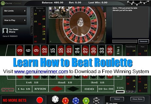roulette,roulette wheel,roulette system,roulette strategy,roulette tips,beat roulette,win roulette,Indian Casino,gambling,online roulette