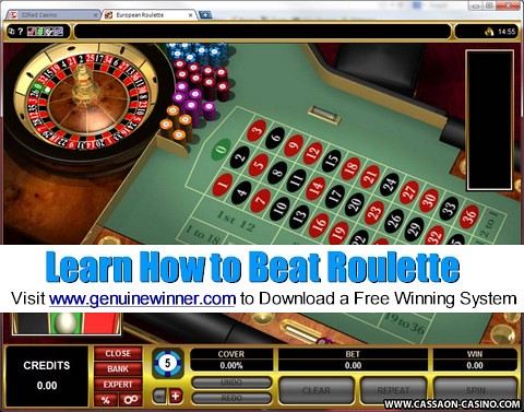 roulette,roulette wheel,roulette system,roulette strategy,roulette tips,beat roulette,win roulette,Indian Casino,gambling,online roulette
